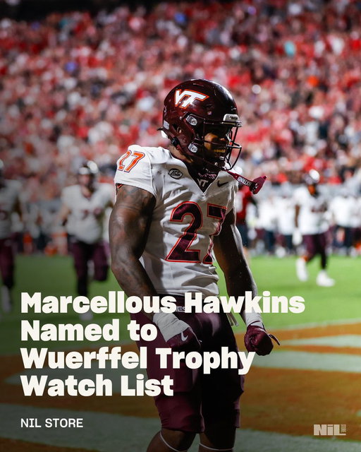Wuerffel Trophy watch 👀

Marcellous Hawkins is coming back to make his mark in Blacksburg this season. Don’t sleep on #27 🦃

https://nil.store/virginia-tech/vtech-marcellous-hawkins-27

#Hokies #VirginiaTech #LGH #GoHokies 