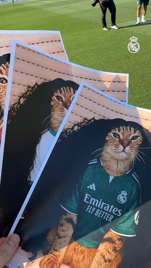 😂 ¡@Cucurella3 elige meme para el día de su debut! 