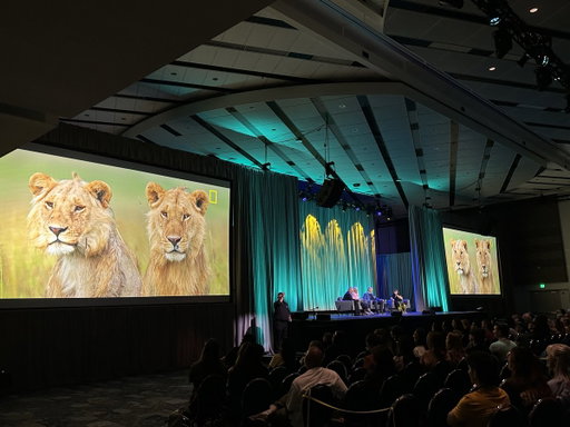 #NatGeoLION is taking the mainstage at #D23 🦁 