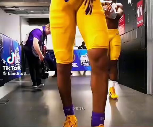 The 2019 LSU Tigers were on a different level 🐯 