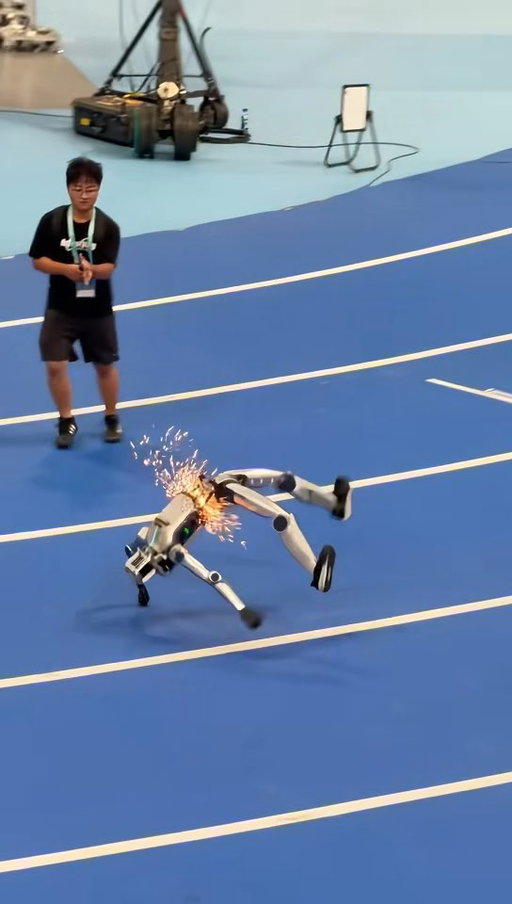 A humanoid robot has suffered severe injury while training for the World Humanoid Robot Games in China.

