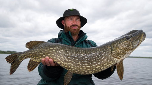 Caught a PIKE… then went for Fish n Chips. 🎣 Few beers 🍻 and your typical Flex shenanigans.

Full video in the reply 👇

What could possibly go wrong 😂 