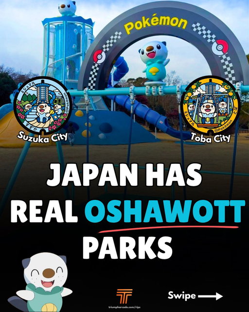 Would you go to this park? 🦭🦭 