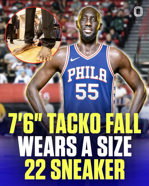 7’6” Tacko Fall wears a SIZE 22 SNEAKER 🤯

That is tied with Shaq for the 
biggest in NBA history. 