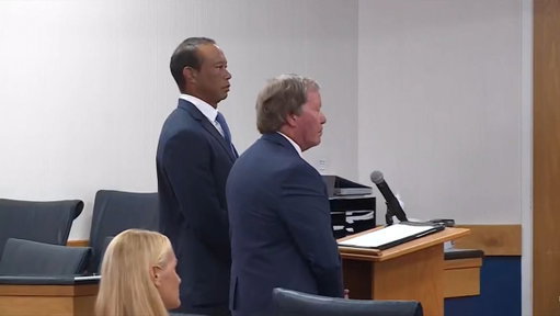 🚨 Tiger Woods pleads guilty to reckless driving over DUI arrest; license suspended for 5 years.

Credit: WPTV 