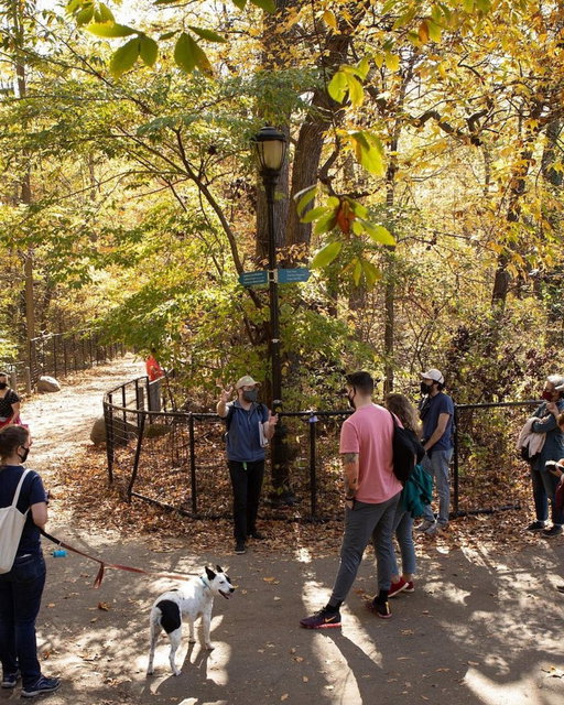 IT'S ALMOST TIME 🍂📍Prospect Park 