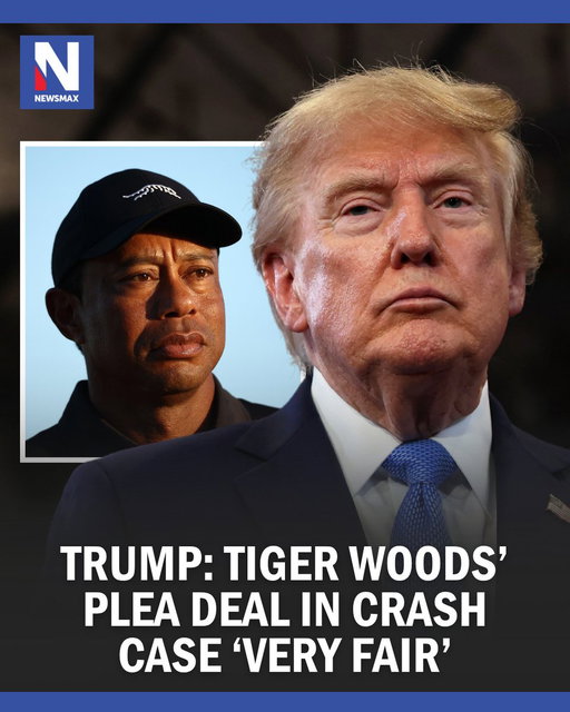 President Donald Trump said Wednesday that a plea deal reached by Tiger Woods over a rollover crash in Florida was "very fair." 