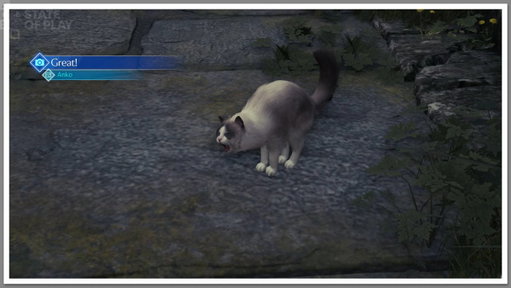You Can Photograph The Cat In Final Fantasy VII Revelation 