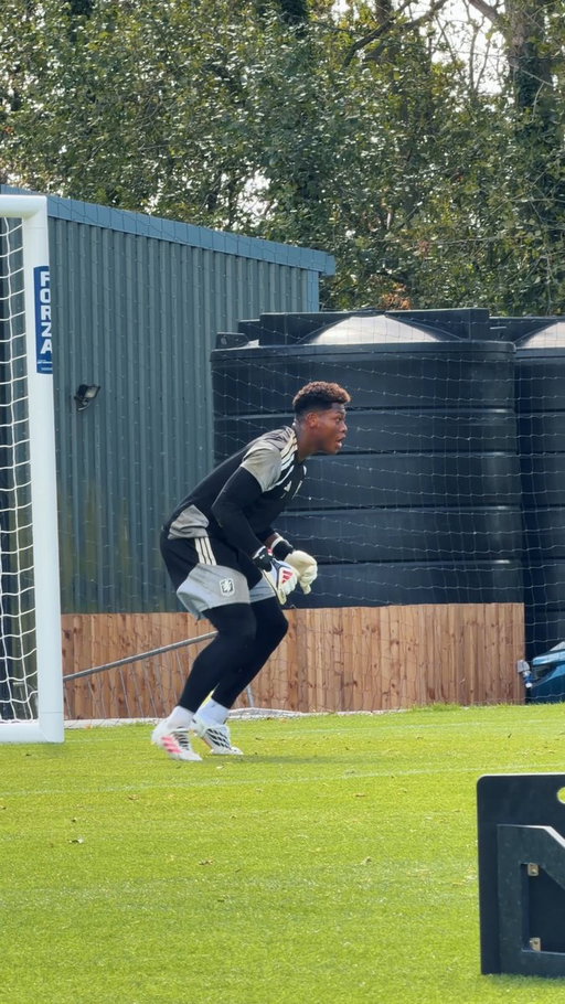 Strong 'keeping from Zion &amp; Marco 🔝 