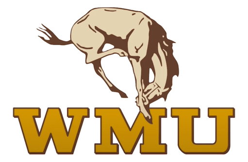 Prediction 

Michigan 37
Western Michigan 17 