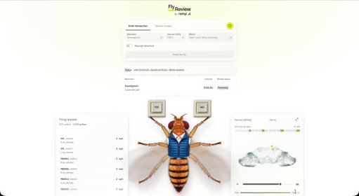 Agentic Flynance.

We trained a simulated fruit fly brain to review expenses by changing just 4,184 weights. A vision model reads the receipt, then the fly decides whether to approve it. 

Give it a fly 🪰 https://labs.ramp.com/fly-review 