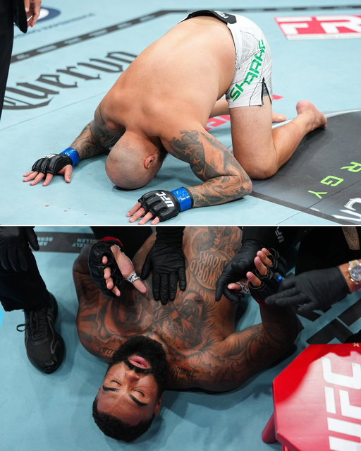 Sean Sharaf knocked out former U.S. Olympic gold medal wrestler and Bills player Gable Steveson in 12 SECONDS 🤯🤯🤯

Steveson was -2500 to win on @FanDuel

One of the biggest upsets in UFC HISTORY 🔥 