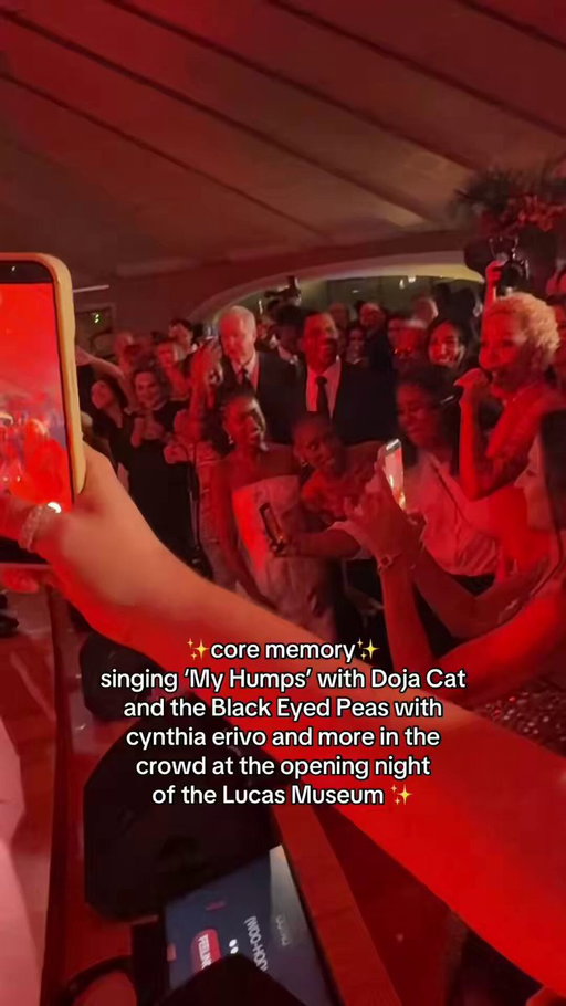 Doja Cat was singing “My Humps” with Black Eyed Peas at the opening night gala of Lucas Museum of Narrative Art. 