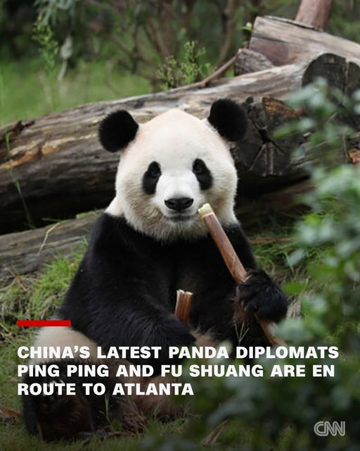 Two giant pandas have left China on a flight bound for their new home at a zoo in Atlanta, where they will live on loan from the Chinese government, the latest episode in Beijing's long tradition of using "panda diplomacy" to strengthen ties with other countries. https://t.co/atDw9viXsp