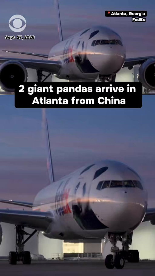 Two giant pandas from China have arrived in the U.S. as part of an agreement between the Chinese and American governments, the Atlanta zoo confirmed on Sunday. 