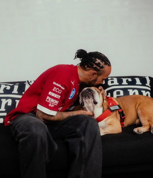 One year without you. Thinking of you always, Roscoe's 
