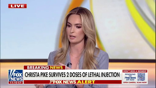 "There was a 7% botch rate for lethal injections, compared to 0% for firing squads."

@KayleeDMcGhee points to the reported botched-execution rate for lethal injection as she unloads on Tennessee's failed execution of Christa Pike and questions whether the country has become too "squeamish" about how the death penalty is carried out.

"Maybe the solution is for us to stop being squeamish as a society and to recognize that punishment is necessary and that maybe we're going to have to make some difficult calls about how it's handed down."

Her comments come as Gov. Bill Lee orders a review into what went wrong with Tennessee's execution attempt on Pike.

@OutnumberedFNC
