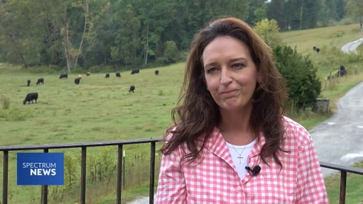 Disastrous interview for Jennifer Balkcom, the GOP nominee for #NC11. Asked whether scandal-plagued Rep. Chuck Edwards should resign:

Balkcom paused for 14s: "I'm not sure… he messed up… that's kind of where I'd leave it."

Reporter: "So you're on the fence."

Balkcom: "Yes." 