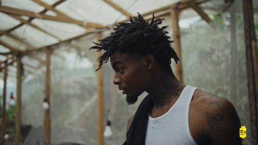 LAZER DIM 700 visits a ganja farm in Jamaica on this week's episode of No Comfort 🍃🇯🇲 