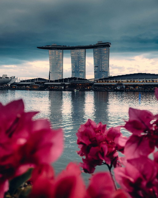 The Marina Bay sights are just a bonus 😍📍 