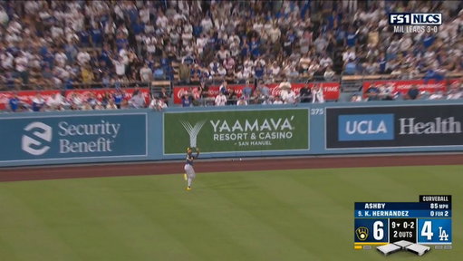 YOUR MILWAUKEE BREWERS ARE HEADING TO THE WORLD SERIES!!!!!!!!!!!!!!!!!!!!!! 