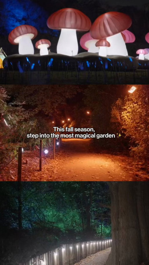 a little bit of light in this spooky season ✨ this is tinker bells neverland in los angeles! 🧚🏼  https://bit.ly/Tinkerbells_Neverland_LA_ 