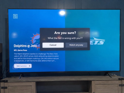 Trying to put the Dolphins - Jets game on and am getting this message. Weird. 