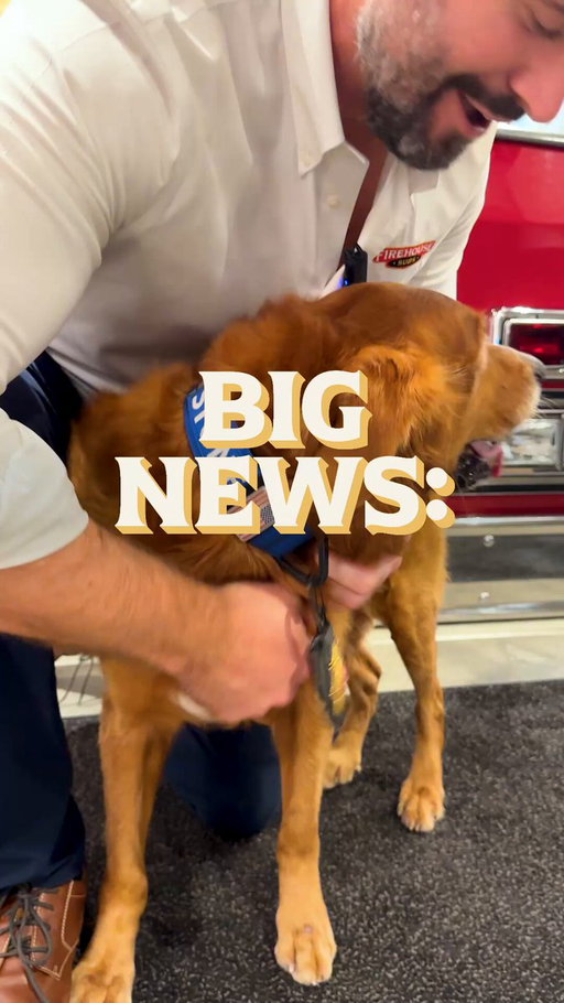 (1/2) 🚨Big News🚨 National #FirstResponders Day is coming up and this year we’ve got two great ways to give back to our heroes (including four legged ones!)

1) Hook &amp; Ladder Sub fundraiser on Wednesday 10/28.
2) New K-9 Crew: 3 collectable plushies based on real hero pups 