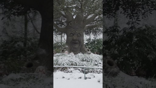 Het heeft gesneeuwd!! ❄️🤍 De Efteling is vandaag één groot winters sprookje. Vlieg je met ons mee?