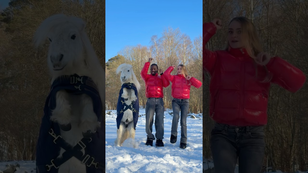 Ever seen a dancing pony? Wait till the end🦄  #dance #trend #sweden