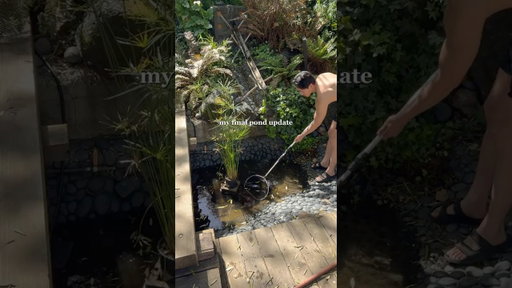 my final home pond update :( #fish #pond #aquarium #landscaping #yard