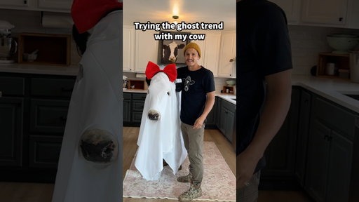 Trying the ghost trend with Buttons! #cow #brucethecow #farm #animals