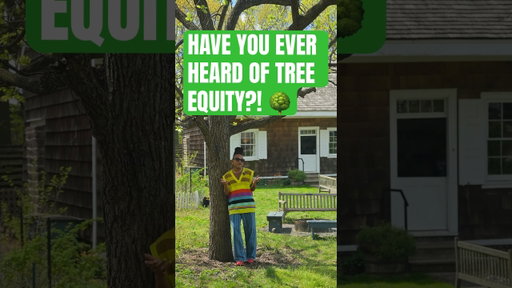 Trees are public health! 🌳🌳🌳 #plants #gardening #trees #tree #treeplanting