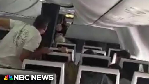 Passengers stop co-pilot’s attempt to crash plane headed for Israel