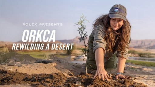 Rolex presents: ORKCA – Rewilding a Desert