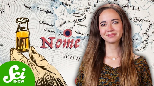 It's Amazing Anyone Survived the 1925 Nome Serum Run
