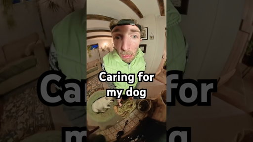 Here’s how I keep my dog all happy and cosy