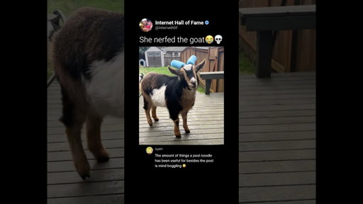 She NERFED the goat😭💀 (@livewithlaycee)