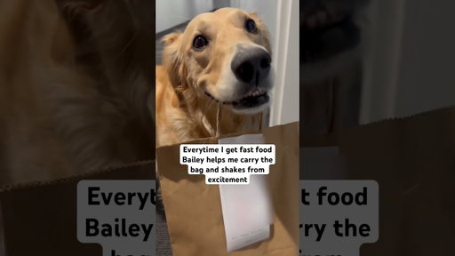 Bailey deserves a treat