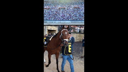 Relive the 2026 Arkansas Derby