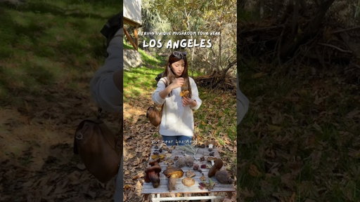 A truly unique mushroom tour near Los Angeles.