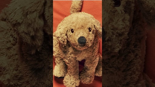 Marketplace Stuffed Animal Shorts
