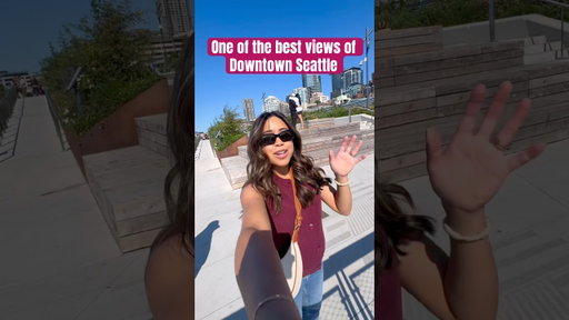 Best views of Seattle, Downtown Seattle, Overlook Walk #seattle #downtownseattle #pnw #washington