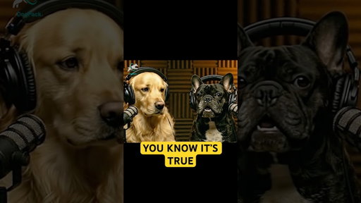 Why Humans Talk To Dogs Like They’re Babies