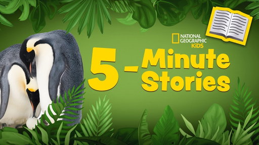 5 Minute Stories Book Read-Along 📚 | Supercool Penguin Chicks 🐥 | @natgeokids
