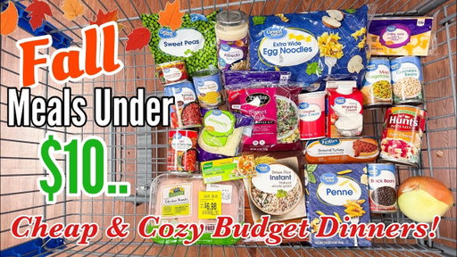 Cheap & Delicious Fall Dinners Under $10 | Quick & EASY Budget Meals | Julia Pacheco