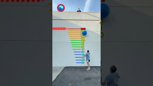Which Ball Bounces The Highest!?