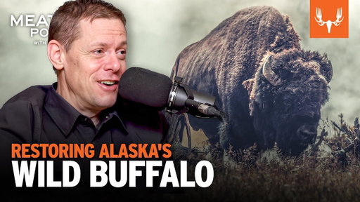 Restoring Alaska's Wild Buffalo | The MeatEater Podcast Ep. 823