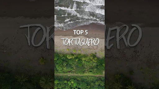 Top Things to Do in Tortuguero, Costa Rica