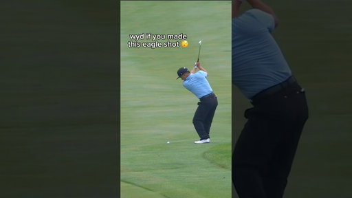 We’d lose our minds all over again 🤯 #ironsharpensiron #golf #golf #ironhead #golfskill